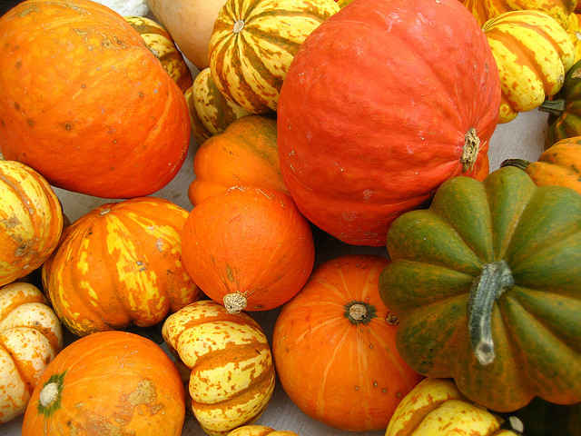 ‘Tis the Season: Staying Healthy Through the Fall and Winter  
