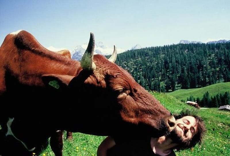 12 Photos that Prove Farm Animals Love Us