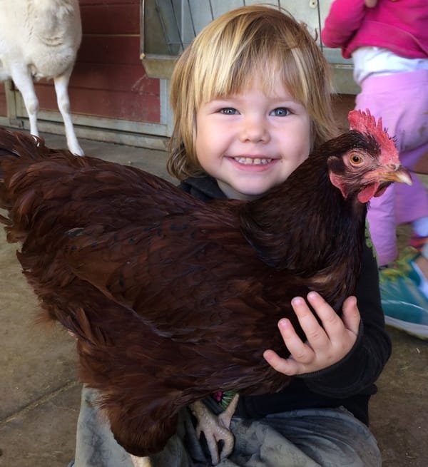 This Amazing California Farm Sanctuary Is Saving Animals and At-Risk Youth