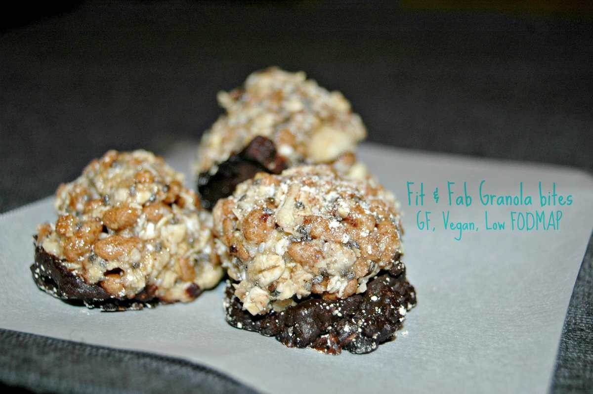 Fit and Fab Granola Bites Pic Monkey
