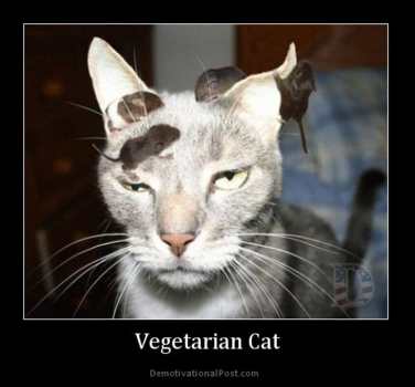 If Cats Were Vegan (Memes)