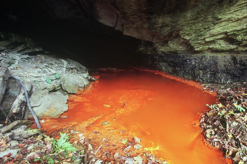 Mountaintop Removal is Killing Fish: 4 Other Scary Effects of This Dangerous Coal Mining Method