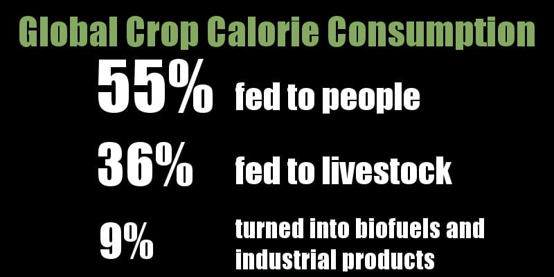 global crop calorie consumption