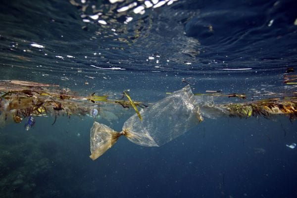 You Are What You Eat With: Why Saying Yes to Plastic Straws is a Big NO for the Planet