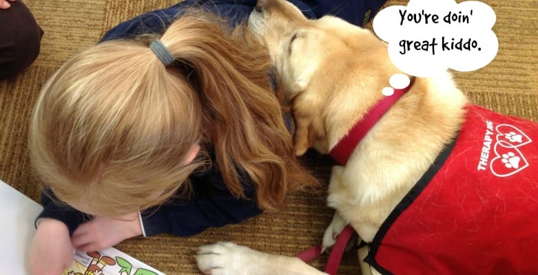 20 Reasons why Raising Your Kids With a Pet is Important.