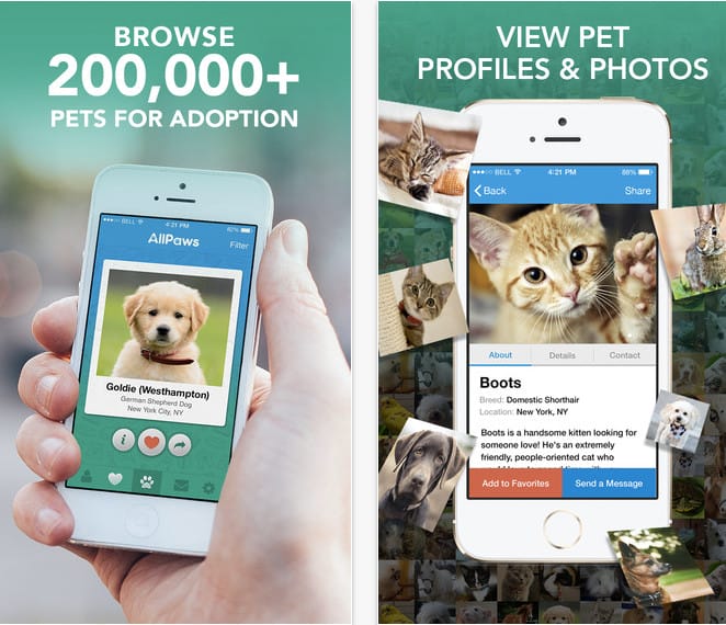 6 Apps That Help Adoptable Animals Find Forever Homes6 Apps That Help Adoptable Animals Find Forever Homes