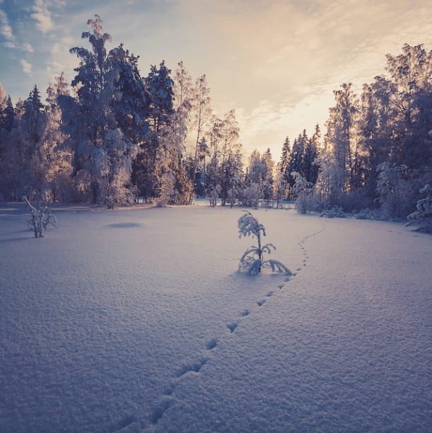 This Photographer's Stunning Pictures of Finland's Natural Landscape Will Leave You Awestruck