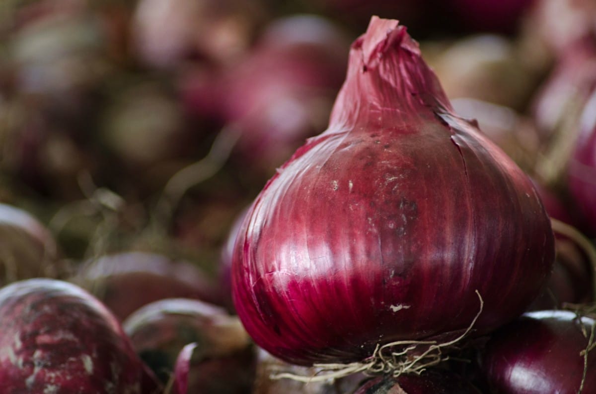 onions-and-beets-1200x795