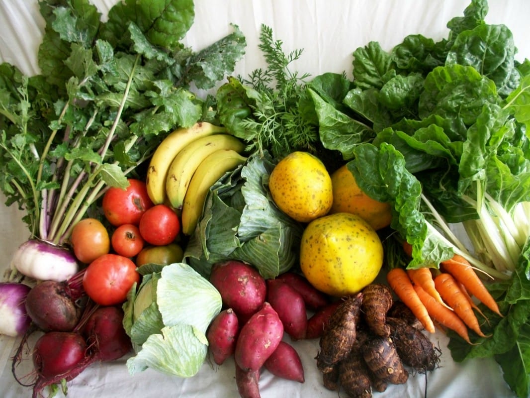 Fruits-and-Veggies-for-Cancer-1066x800