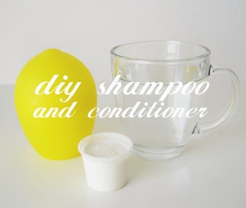 DIY Shampoo and Conditioner for Damaged Scalp
