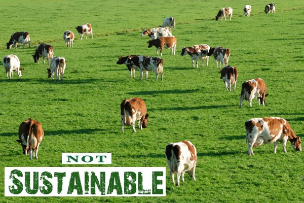 sustainable meat not green myth
