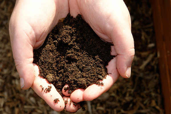 Why Composting is the Greenest Thing You Can Do