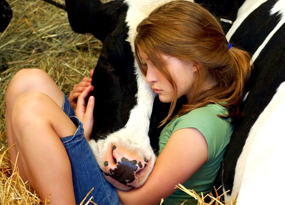 10 Big Wins for Farm Animals in the Past 10 Years