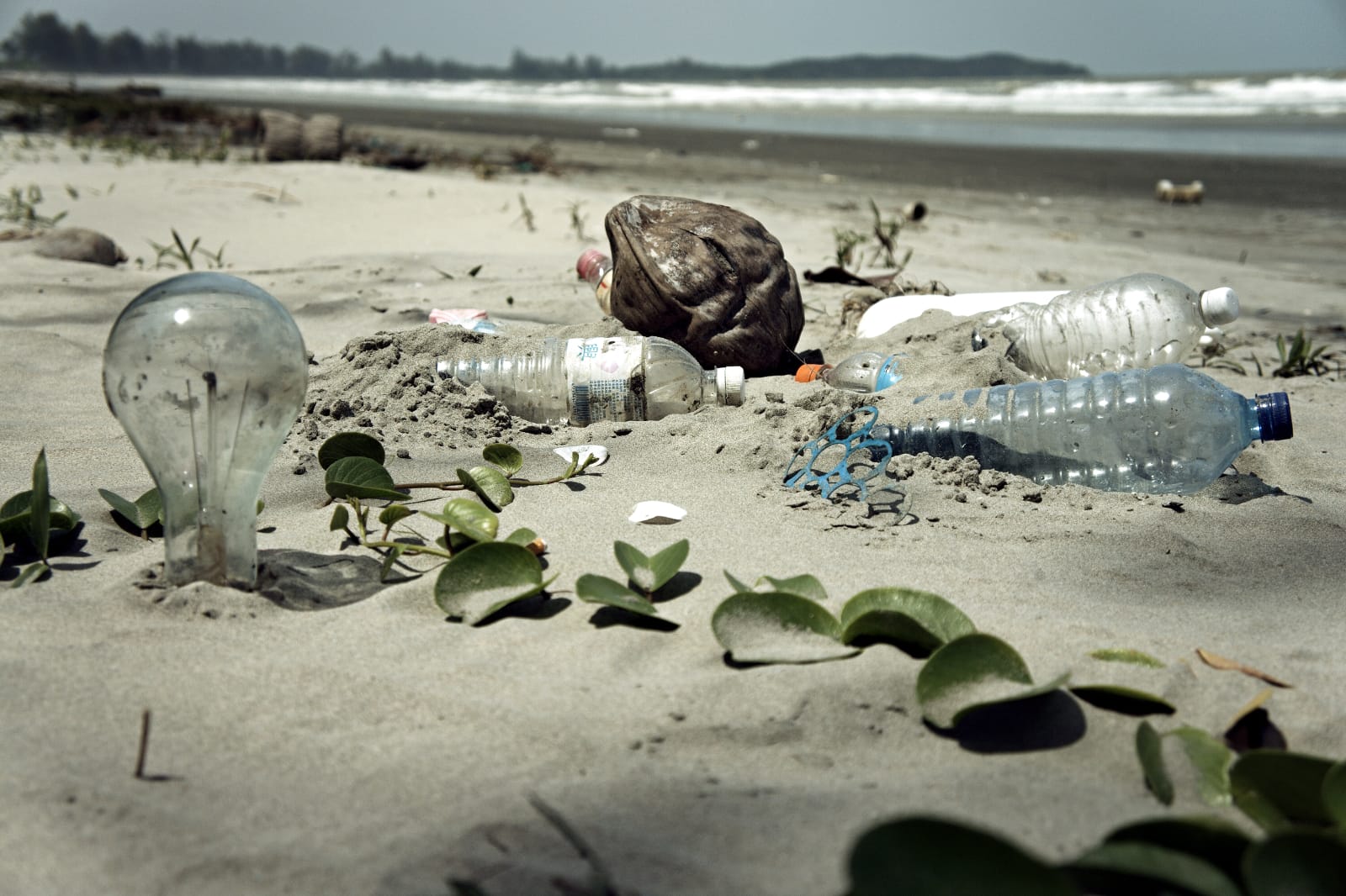 plastic trash and waste on beach