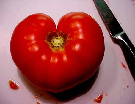 5 Heart-Boosting Plant-Based Foods to Love Your Own Heart this Valentine's Day