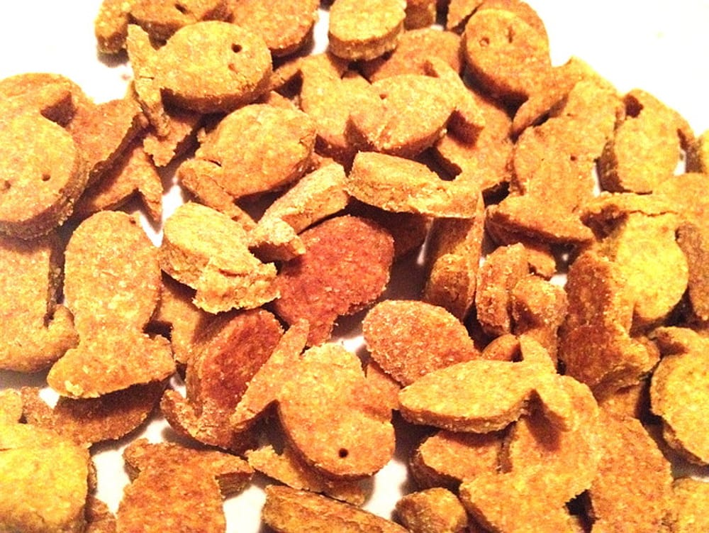 Vegan Goldfish Crackers