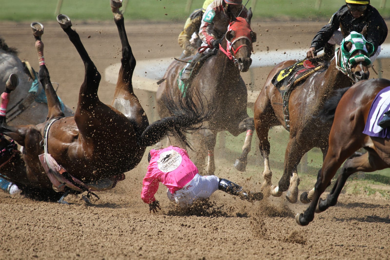5 Myths the Horseracing Industry Spreads