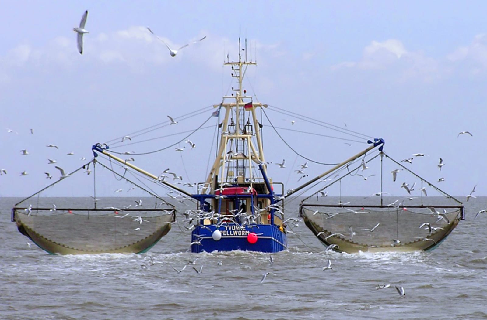 How Eating Seafood Kills Our Oceans