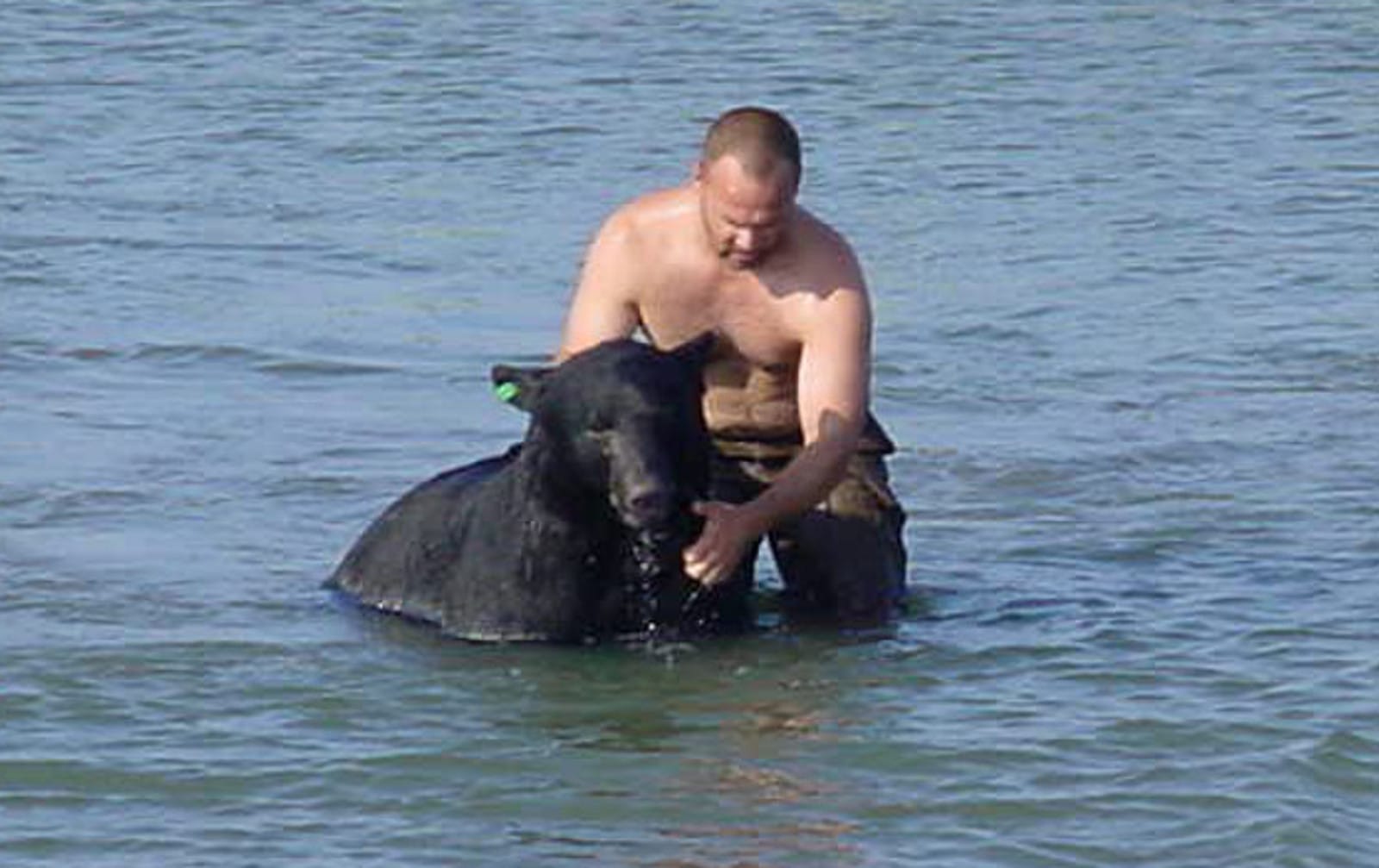 This Man did the Unthinkable to Rescue a 400-lb Black Bear! (PHOTOS)