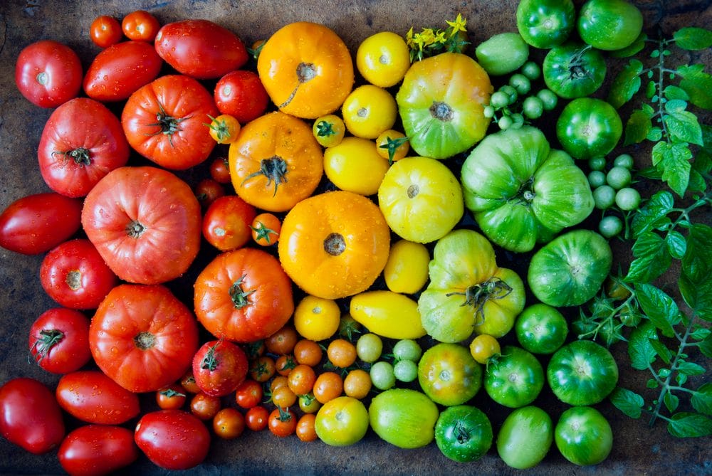 Different colored fruits and vegetables