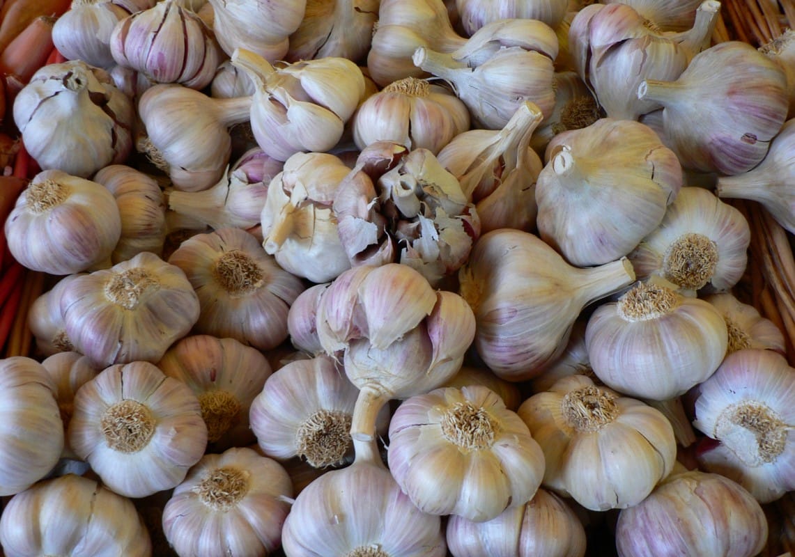 garlic superfoods