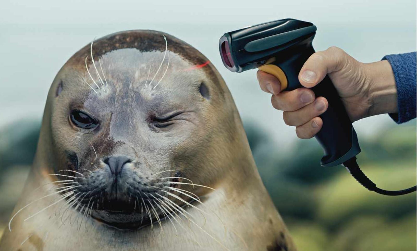 Powerful Ads Featuring Marine Animals at 'Gunpoint' Will Make You Reconsider Your Plastic Use