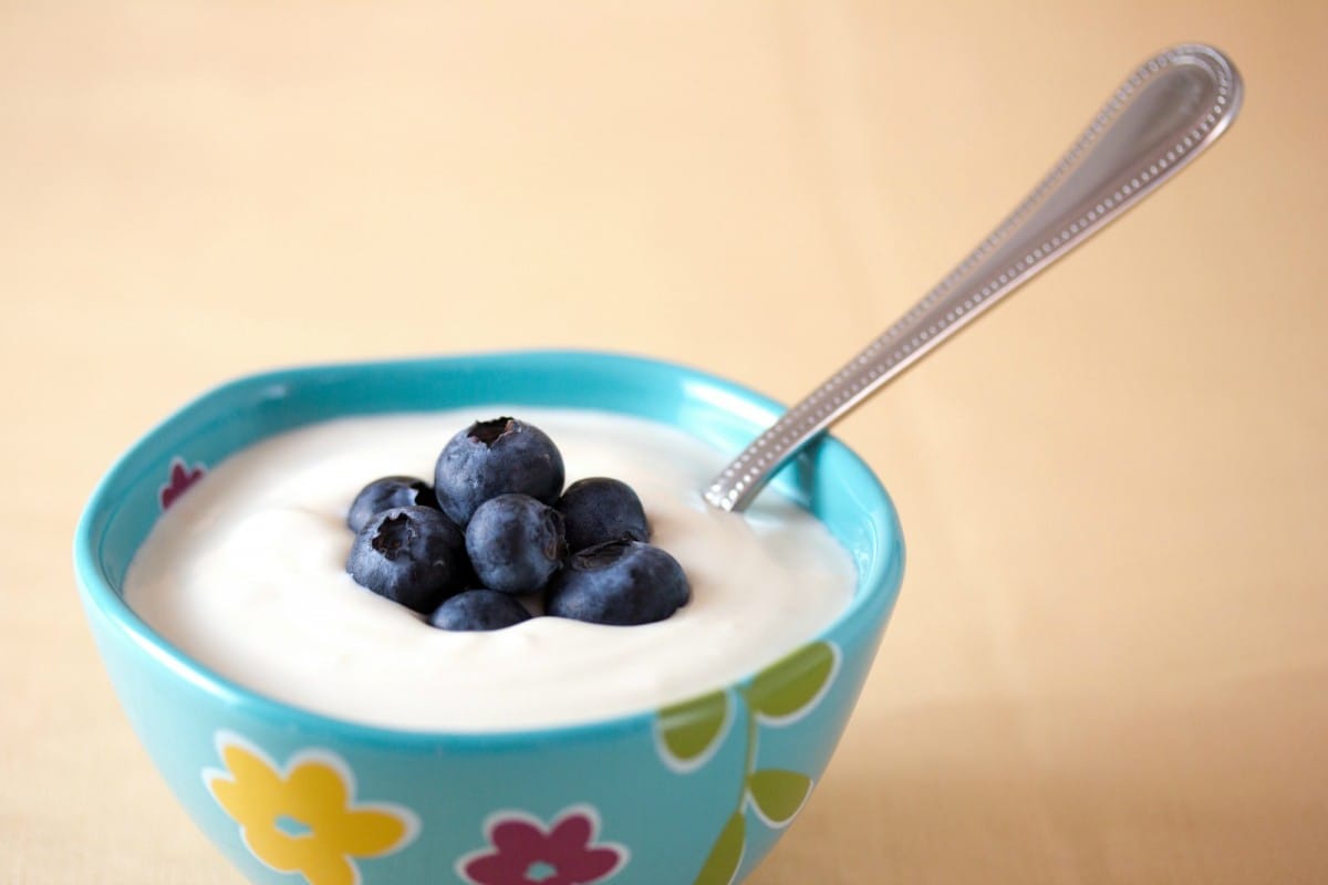 vegan yogurt with blueberries good for digestion