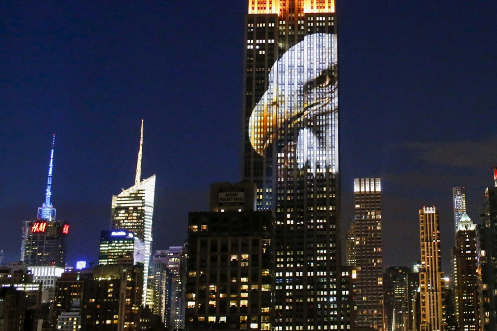 After Epic Empire State Building Display, How Can YOU Help in the Race Against Extinction?