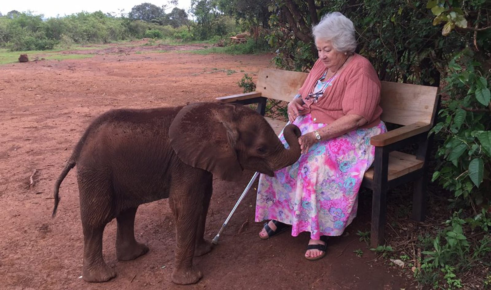 Meet the Amazing 81-Year-Old Conservationist Who's Saving Africa's Last Elephants