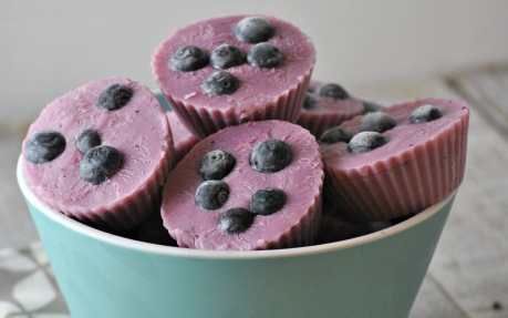 Probiotic Blueberry Yogurt Bites