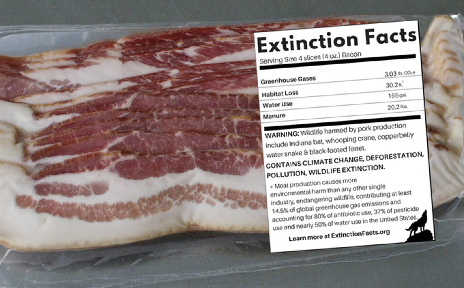 Extinction Facts Labels Expose What Our Meat Addiction Means for Wildlife