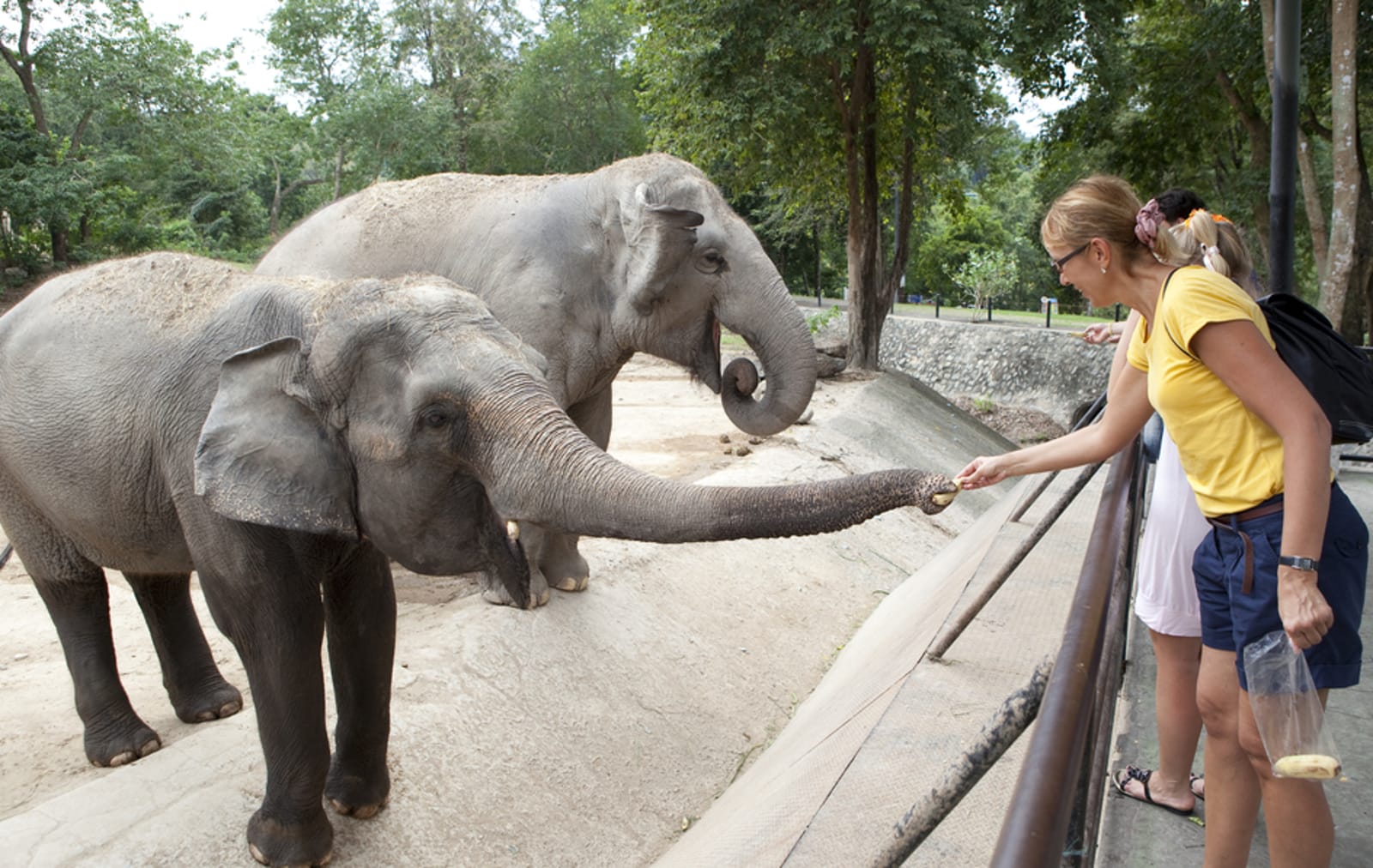 How Zoos Create a False Sense of Entitlement When it Comes to Interacting With Animals