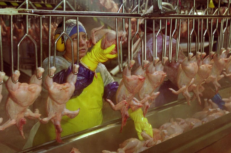 Woman on Poultry Processing Line_EarlDotter_Tyson6