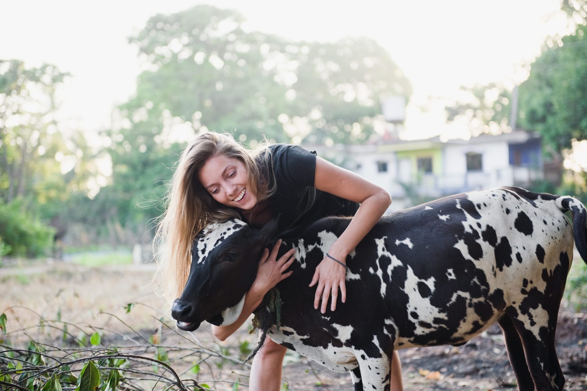 girl hugs cow