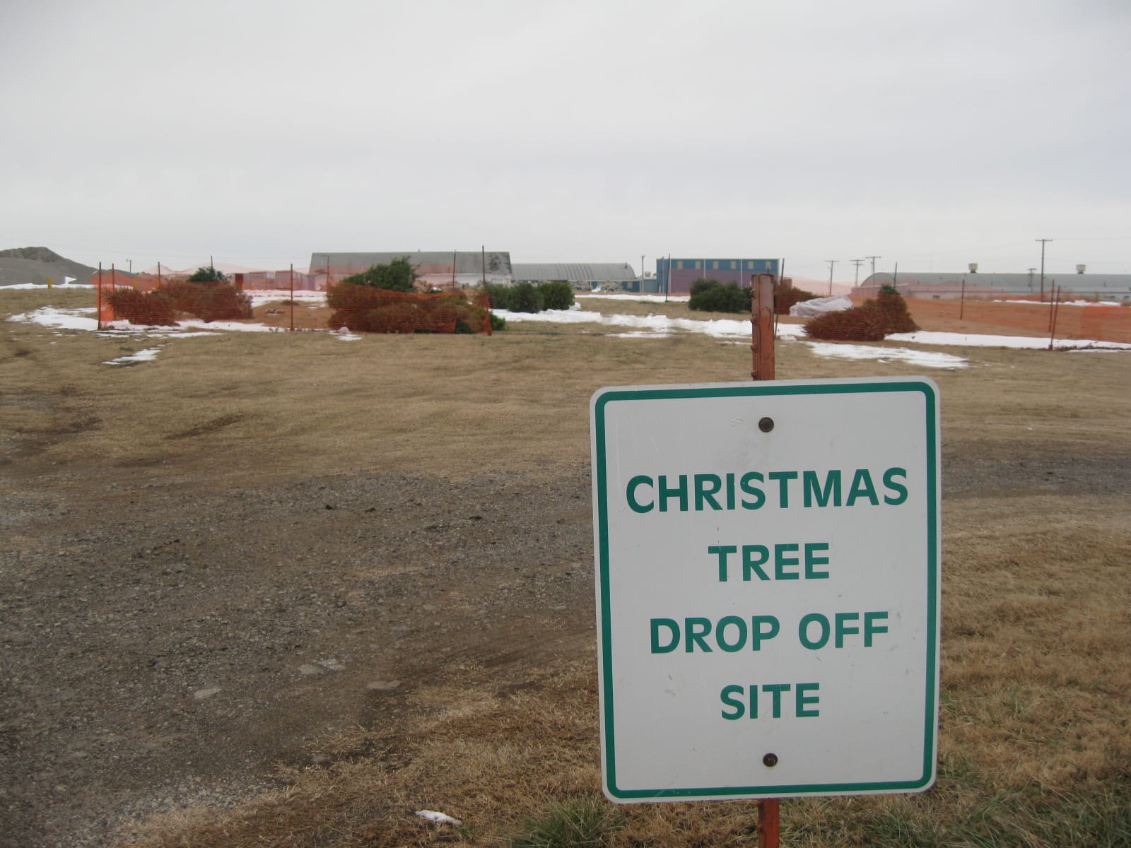 Christmas tree drop-off site