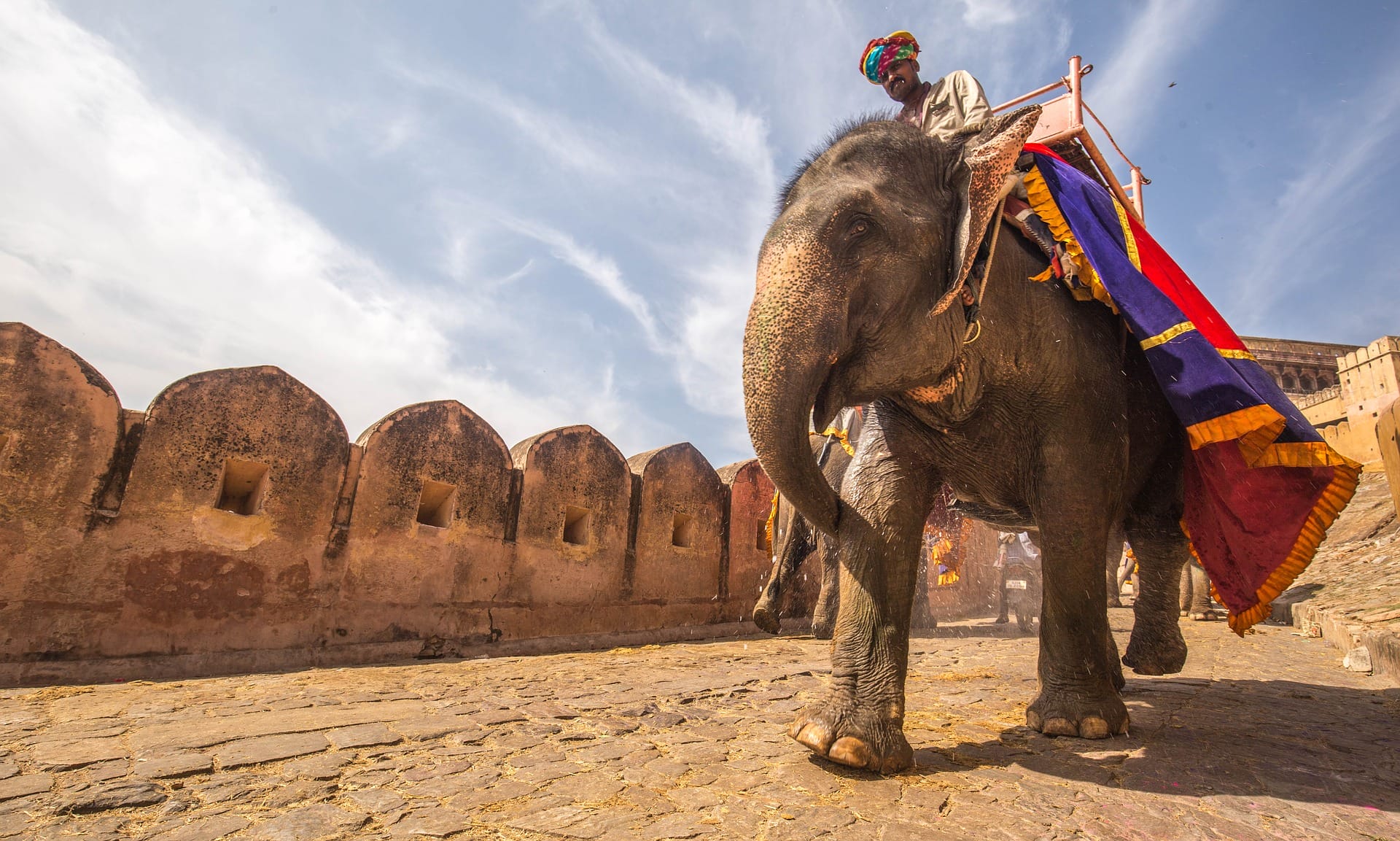 elephant ride in india