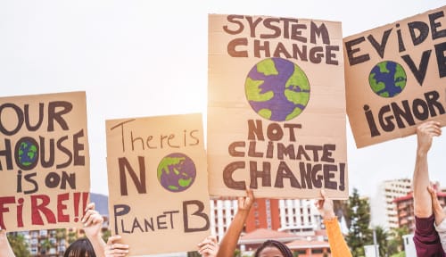 Climate Change Activist