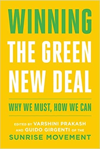 winning green new deal book