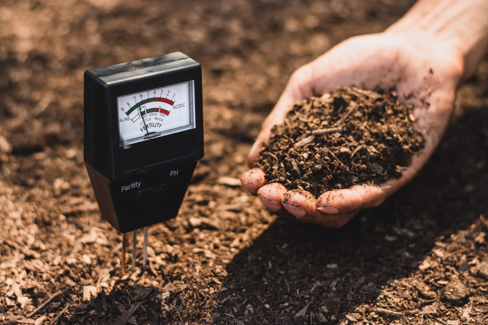 Soil meter in the soil with a handful of soil
