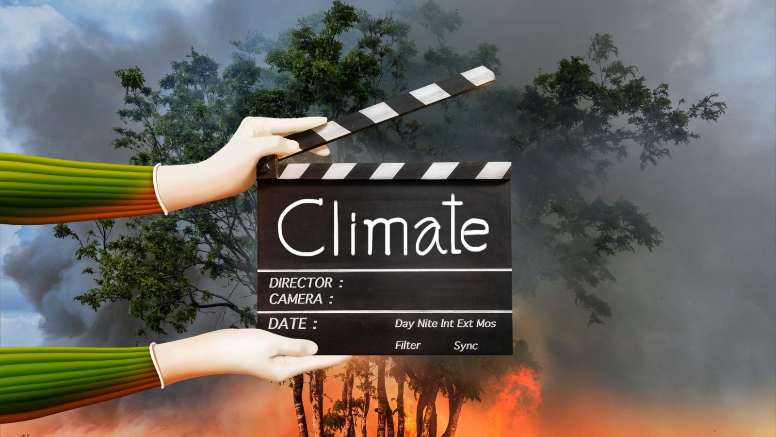 Hands holding film slate or movie clapper board on fire forest