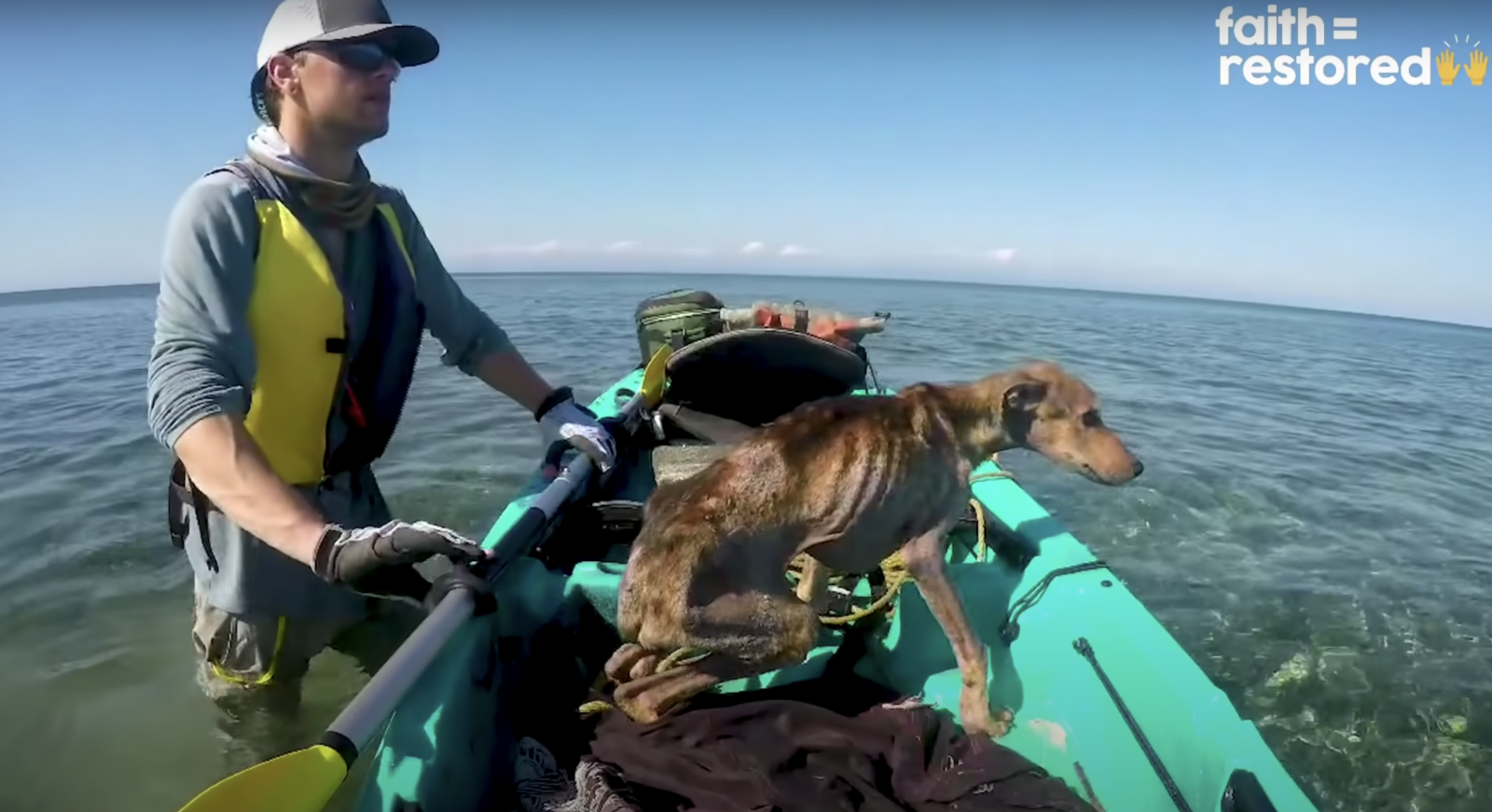 Starving dog on a kayak