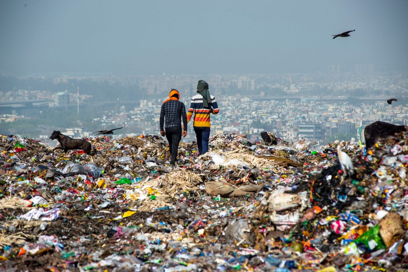 Landfill in New Delhi India