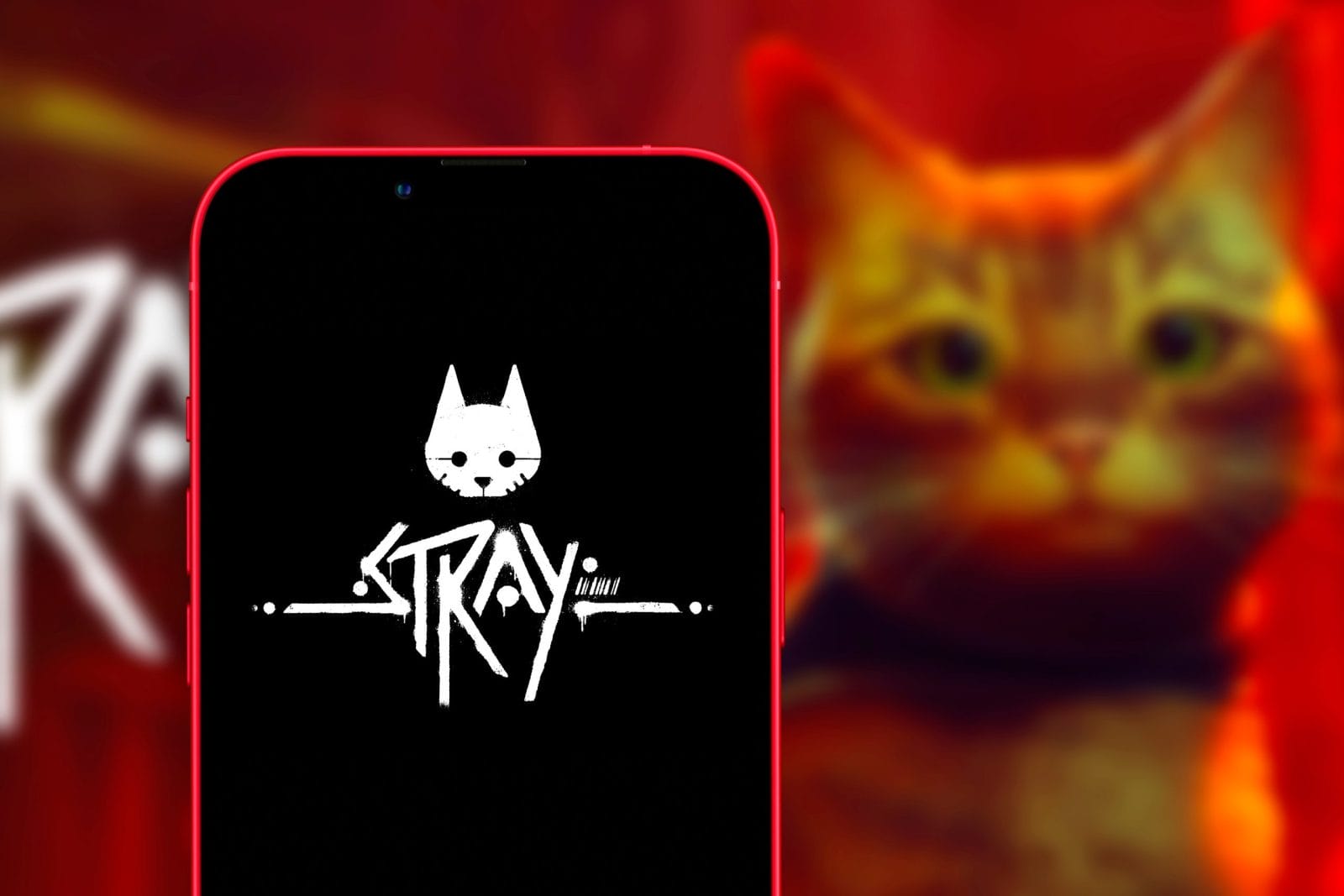 Stray video game on phone screen with cat in background