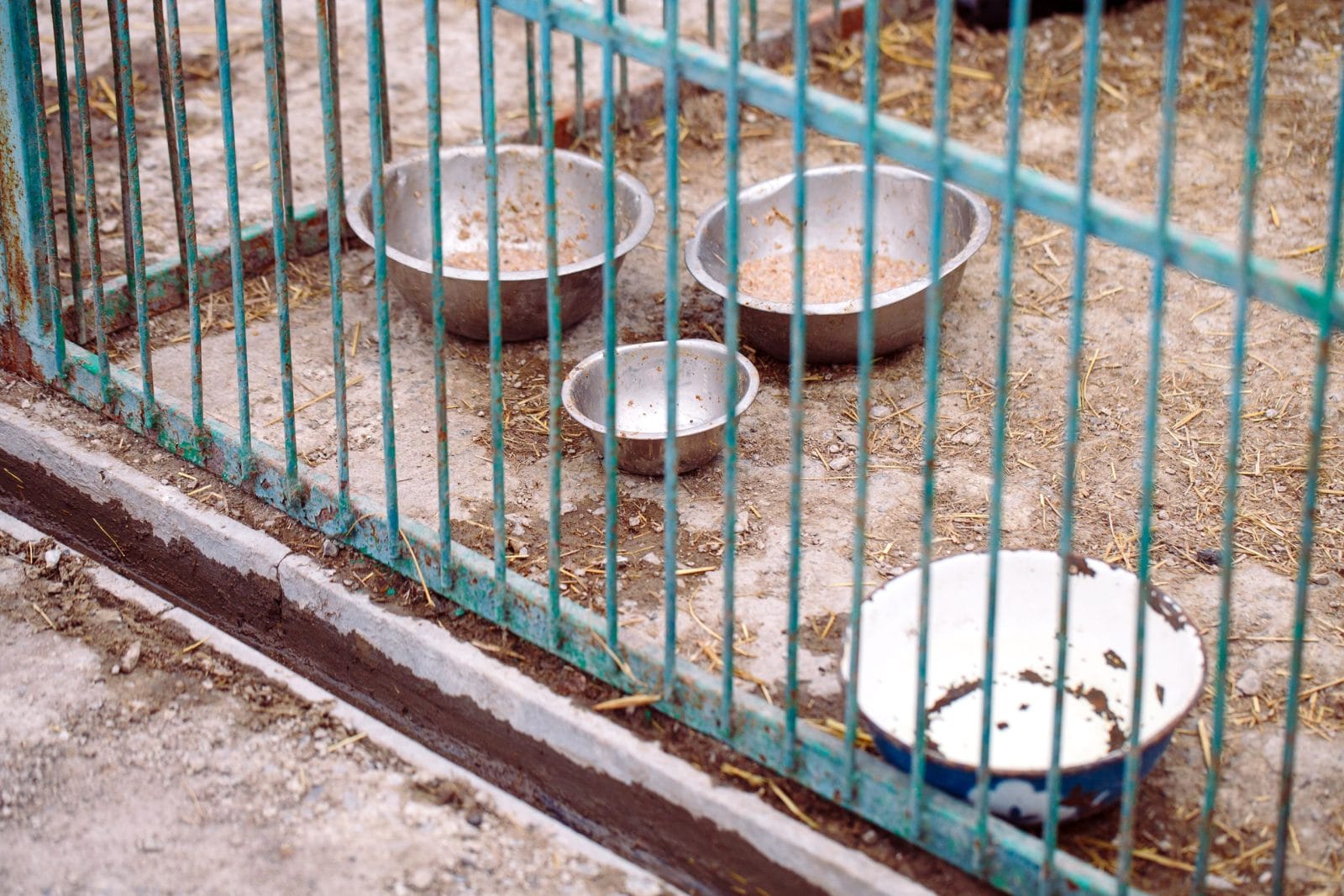 Empty dog shelter with empty food bowls