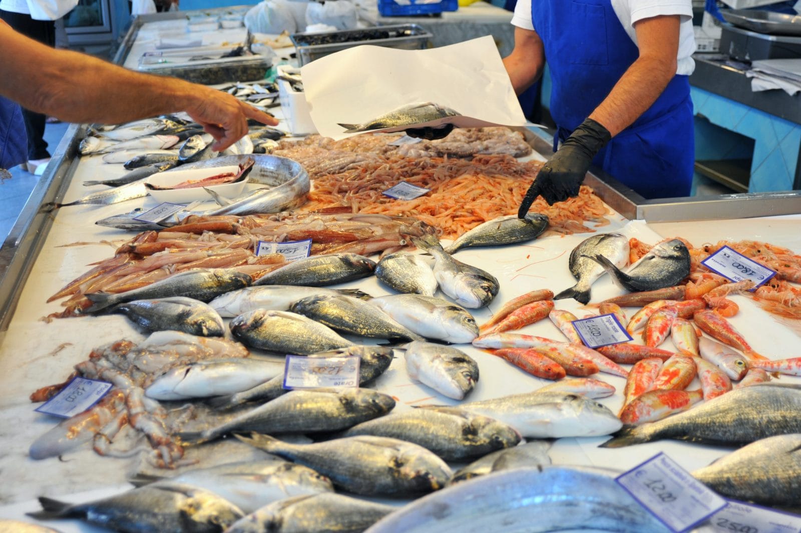 Fish at a seafood market