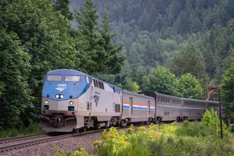 Amtrak train in the forest