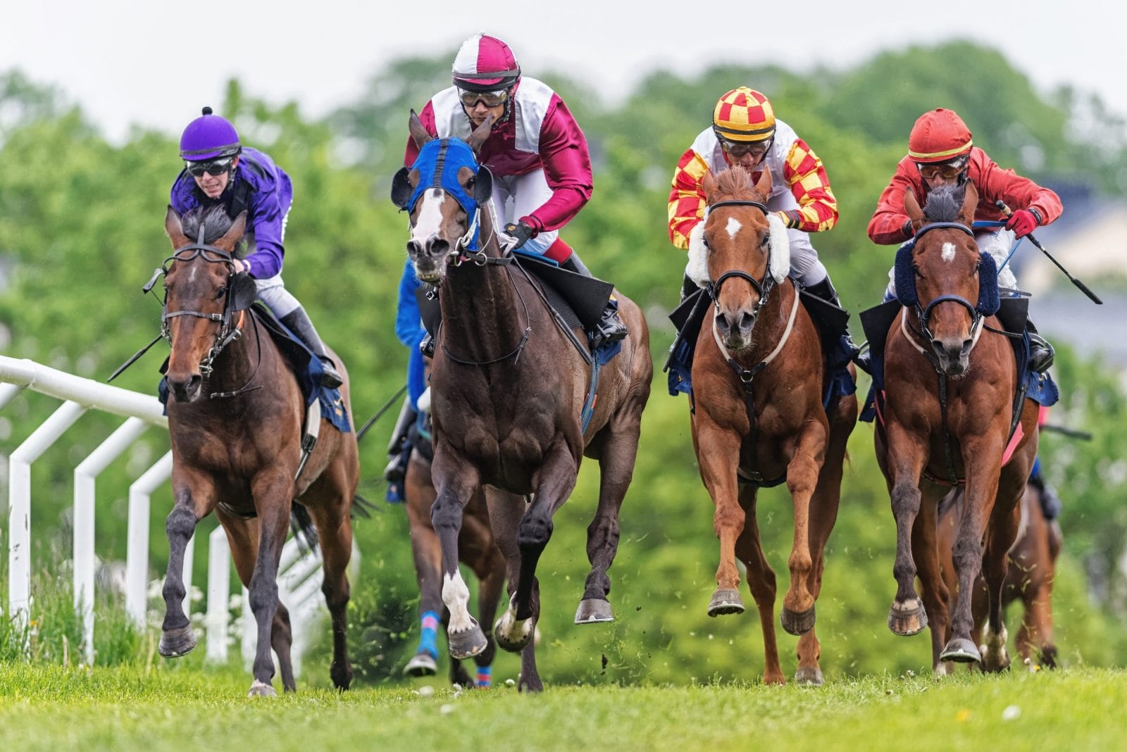 Four horses racing on a track