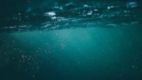 microplastics floating in ocean water